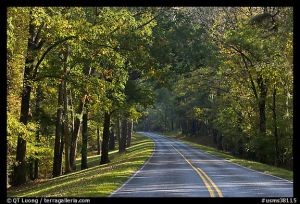 Natchez Trace - Historic Trail